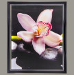 Фотопостер 40 х 50 см  ООО &quot;Лэнд Арт&quot; &quot;Розовая орхидея&quot; /рамка чёрный лак с серебром  / 275091