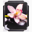 Фотопостер 40 х 50 см  ООО &quot;Лэнд Арт&quot; &quot;Розовая орхидея&quot; /рамка чёрный лак с серебром  / 275091