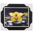 Фотопостер 20 х 25 см  ООО &quot;Лэнд Арт&quot; &quot;Жёлтая орхидея&quot; /рамка черная с серебром / 270148